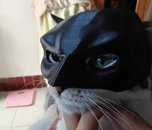 Batcat-Maske - Fledermauskatzenmaske